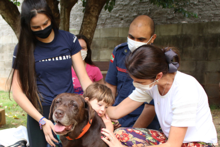 PROGRAMA DE CINOTERAPIA INICIA EM CHAPECÓ