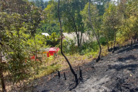 BOMBEIROS DO BATALHÃO DE SÃO JOSÉ SÃO ACIONADOS PARA INCÊNDIO FLORESTAL DE GRANDES PROPORÇÕES EM BIGUAÇU