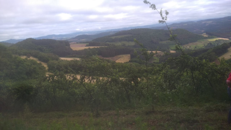 0311 Tangará