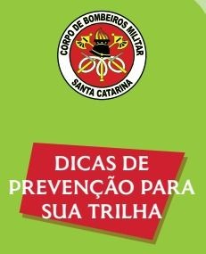 Imagem do Grid