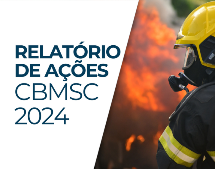 Relatório_de_ações_2024.png