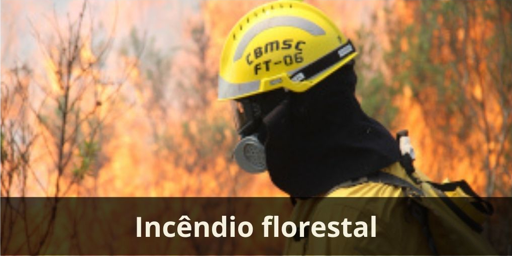 Incêndio florestal